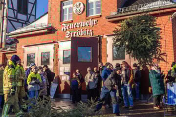 Wer wirft weiter? In der Lausitz fliegen die Weihnachtsbäume