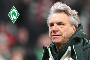 Nach nur sieben Monaten: Werder Bremen schmeißt Horst Steffen raus