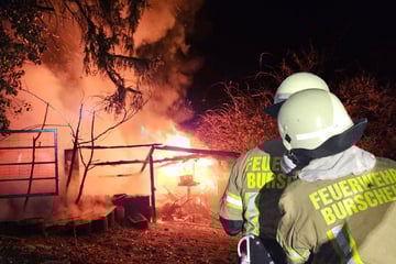 Nächtlicher Feuerwehreinsatz: Schuppen steht lichterloh in Flammen