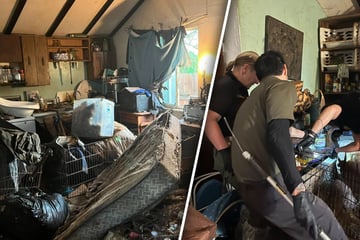 Behörde rettet Dutzende eingesperrte Tiere aus extrem vermüllten Haus
