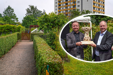 Dresden: Dresdens schönste Gartenanlage: Hier gibt es den Pokal für blühende Projekte