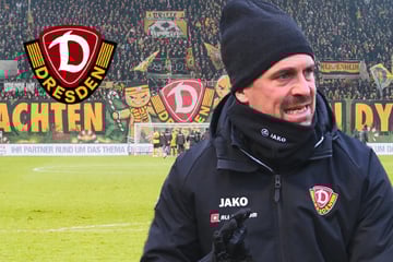 Sechs Punkte unterm Baum! Dynamo-Coach Stamm hat einen Weihnachtswunsch