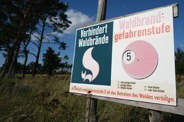 Waldbrände in Sachsen drohen: In manchen Regionen ist es besonders brenzlig