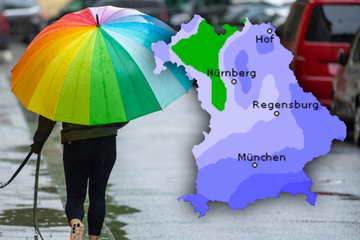 Wind, Regen und Schnee: Zum Wochenende wird's in Bayern ungemütlich!