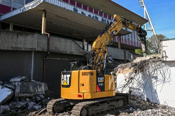 Gericht stoppt Abriss des Jahnstadions: Der Grund dafür ist klein und hat Flügel