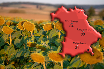 Sonnige Woche in Bayern: Doch wann kommt der ersehnte Regen?