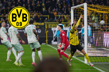 BVB im VAR-Glück! DFB gesteht Fehler ein, Tor "hätte nicht zählen dürfen"