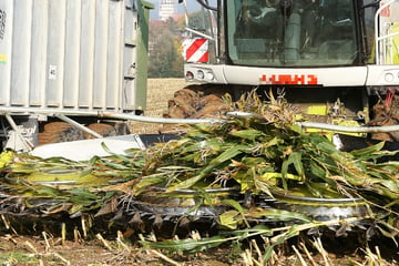 Schrecklicher Arbeitsunfall with Häcksler: Mann Greift in Maschine