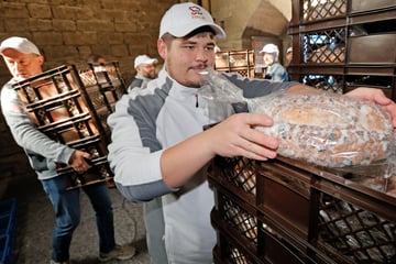 Fledermäuse im Dom: Halberstädter Stollen muss umziehen