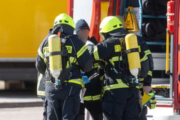 Pulver für Kriechtier führt zu Feuerwehr-Einsatz