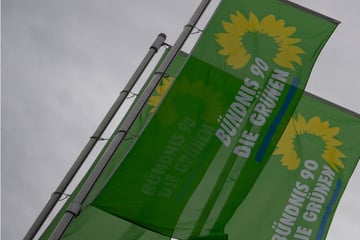 Grünen-Kandidat für Kommunalwahl angegriffen: Staatsschutz ermittelt