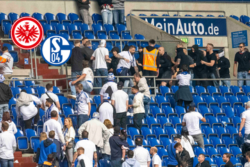 Gewaltexzess bei Schalke gegen Frankfurt: Fotos von Stadionschlägern veröffentlicht