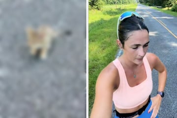 Frau hört beim Joggen ein komisches Geräusch: Kurz darauf rettet sie ein Leben
