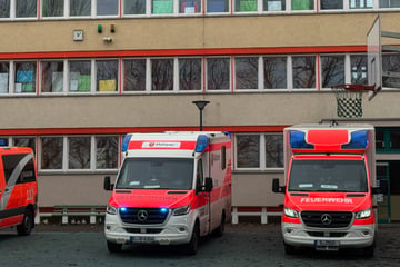 Berlin: Großeinsatz an Berliner Grundschule! 44 verletzte Kinder