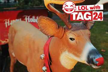 Joke of the Day for December 17, 2025: 12 Days of Laughs