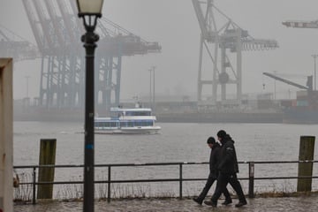 Frühlings-Temperaturen im Norden - Teilweise mit Nebel und Regen