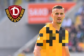 Dynamo-Dresden-Blog: Das neue Trikot ist da!