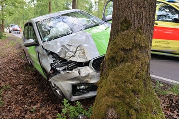 Škoda kracht in Chemnitz gegen Baum