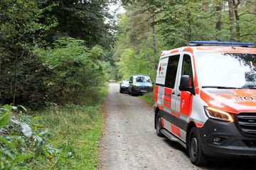 Joggerin in Wald erstochen: So viele Hinweise gingen nach "Aktenzeichen XY" ein