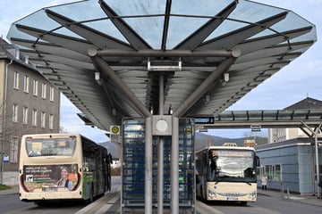 Kommen wie gerufen: Neue Flex-Busse in Ostthüringen buchbar