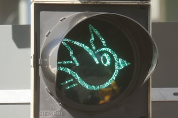 Spatz statt Punkt: Neues Ampel-Motiv in Gera