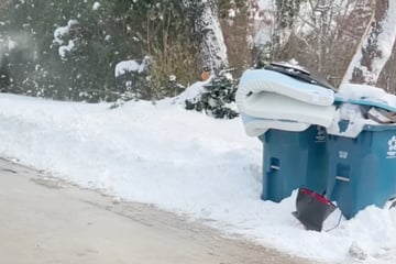 Frau durchsucht Müll in reicher Gegend: Was sie dann findet, macht alle sprachlos