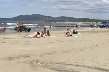 Touristin sonnt sich am Strand: Als sie sich umdreht, fällt ihr die Kinnlade runter