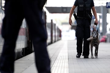 Bombendrohung am Hauptbahnhof? Spürhund Yukon eilt zu Hilfe