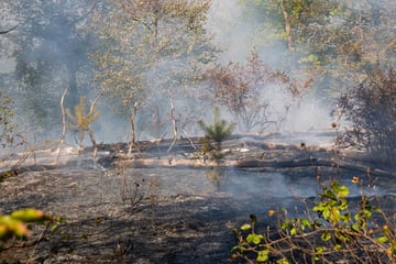 Boden gilt als munitionsbelastet! Feuerwehr hat alle Hände voll zu tun - und muss äußerst vorsichtig vorgehen