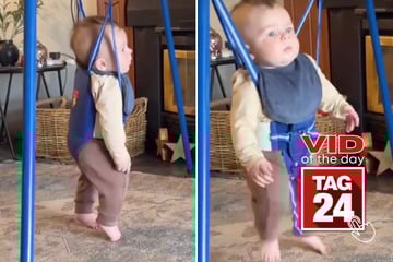 viral videos: Viral Video of the Day for December 12, 2025: Toddler's accidental Irish jig has the internet crying with laughter!
