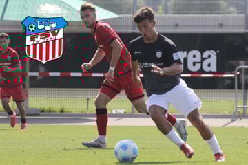 FSV Zwickau gegen FC Ingolstadt: Das ist das Fazit zum Testspiel