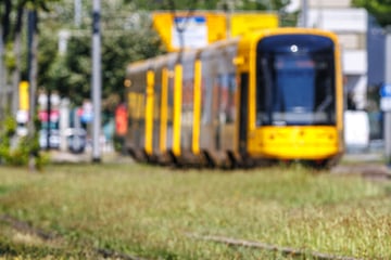 Dresden: In Bahn nach Prohlis: Mann masturbiert direkt vor Kindern