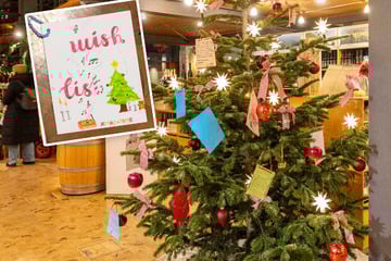 Dresden: Diese Wunschbäume tragen jetzt besonders viele "Blätter"