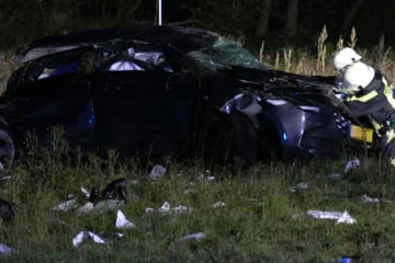 Auto prallt auf Landstraße gegen Baum: Eine Person tot