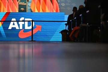 Mehr als 2,5 Millionen Euro für Anti-AfD-Kampagnen gesammelt