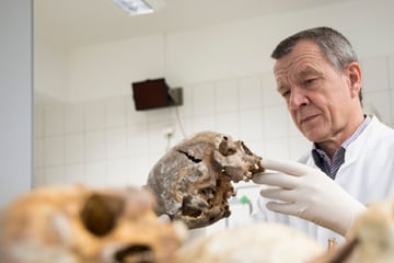 Wie starb Adolf Hitler wirklich? Rechtsmediziner klärt auf