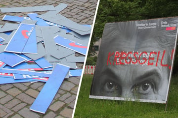 Dresdner Parteien kämpfen gegen Vandalismus-Welle bei ihren Plakaten