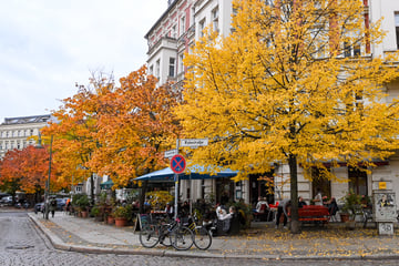 Orkan bläst Winter in Berlin und Brandenburg weg: Hallo, Frühling!