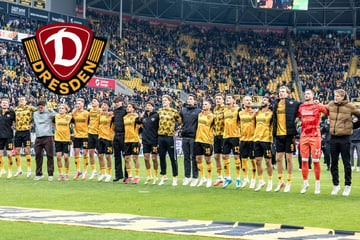Dynamo-Dresden-Blog: Heimsieg im Ostkracher! SGD darf endlich wieder jubeln
