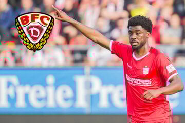 BFC Dynamo lotst Ex-Zwickauer ins Sportforum: Echte Hilfe im Abstiegskampf?