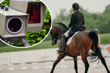 Raser auf Hufen? Reitlehrerin auf Pferd löst Blitzerfoto aus