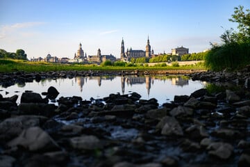 Dresden: Hitzewelle in Dresden: Elbe, Weißeritz und Co. geht das Wasser aus