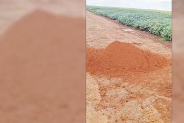 Bauer entdeckt merkwürdigen Erdhaufen auf Feld: Als er näher kommt, wird ihm alles klar