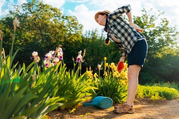 Mit diesen Must-haves geht die Gartenarbeit auch ohne Rückenschmerzen