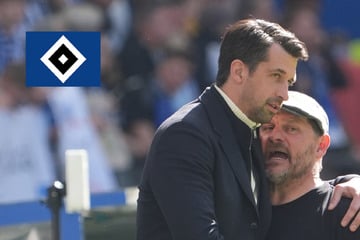 HSV: Wechsel auf der Trainerbank völlig verpufft - rollen nach der Saison Köpfe?