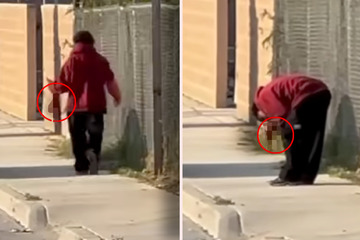 Mann entwendet menschliches Bein von Unfallstelle und versucht es offenbar zu essen