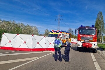 Zwei tote Fußgänger nach Lkw-Unfall, aber Fahrer haut einfach ab