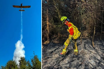 A7 wegen Waldbrand dicht: Warum die Polizei jetzt gegen drei Männer ermittelt