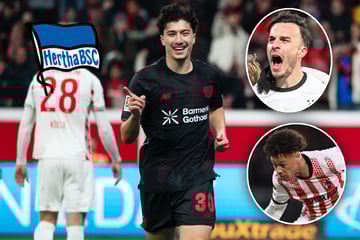 Ex-Hertha-Stars mischen die Liga auf: Nur bei einem läuft es gar nicht