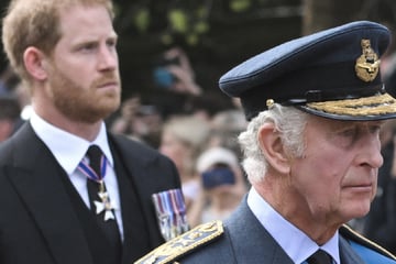 Prince Harry's shocking comments leave King Charles "frustrated and upset"